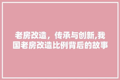 老房改造，传承与创新,我国老房改造比例背后的故事与启示