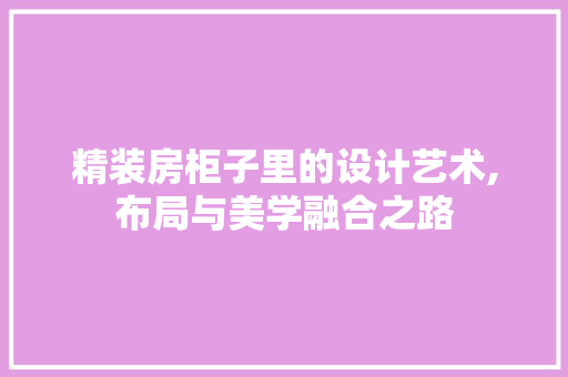 精装房柜子里的设计艺术,布局与美学融合之路