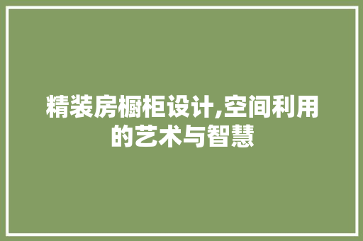 精装房橱柜设计,空间利用的艺术与智慧