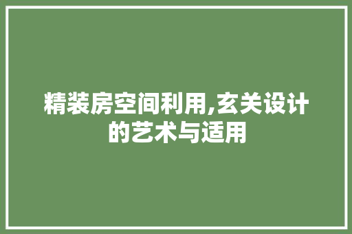 精装房空间利用,玄关设计的艺术与适用