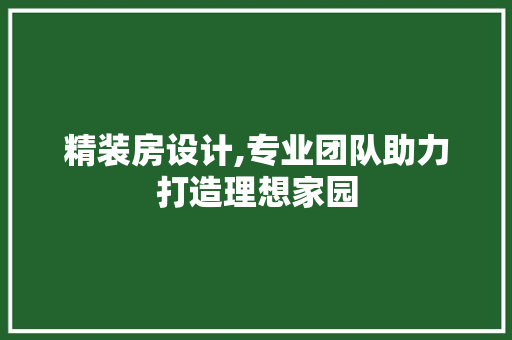 精装房设计,专业团队助力打造理想家园