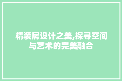 精装房设计之美,探寻空间与艺术的完美融合