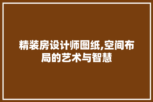 精装房设计师图纸,空间布局的艺术与智慧