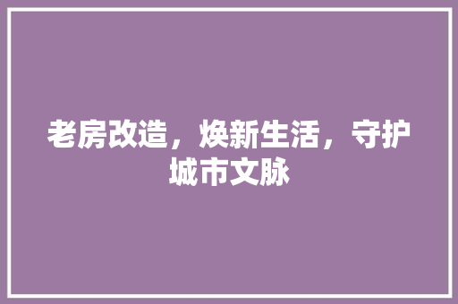 老房改造，焕新生活，守护城市文脉