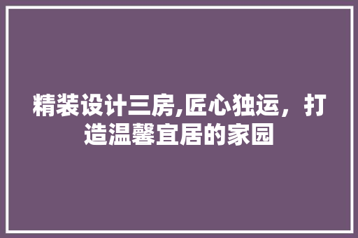 精装设计三房,匠心独运，打造温馨宜居的家园