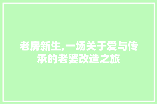 老房新生,一场关于爱与传承的老婆改造之旅