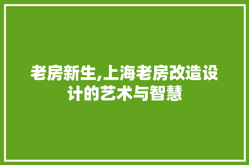 老房新生,上海老房改造设计的艺术与智慧