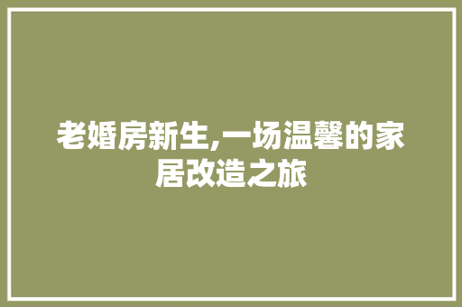 老婚房新生,一场温馨的家居改造之旅