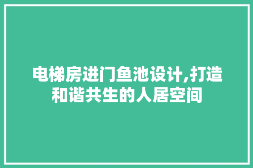 电梯房进门鱼池设计,打造和谐共生的人居空间