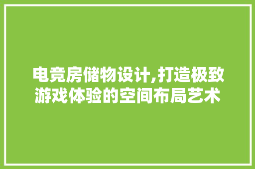 电竞房储物设计,打造极致游戏体验的空间布局艺术