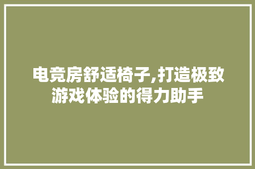 电竞房舒适椅子,打造极致游戏体验的得力助手