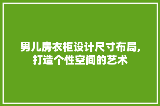男儿房衣柜设计尺寸布局,打造个性空间的艺术