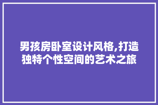 男孩房卧室设计风格,打造独特个性空间的艺术之旅
