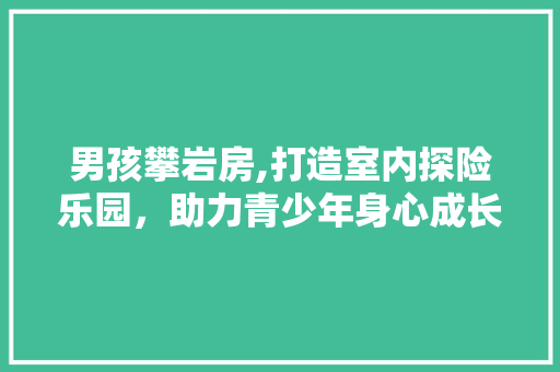 男孩攀岩房,打造室内探险乐园，助力青少年身心成长