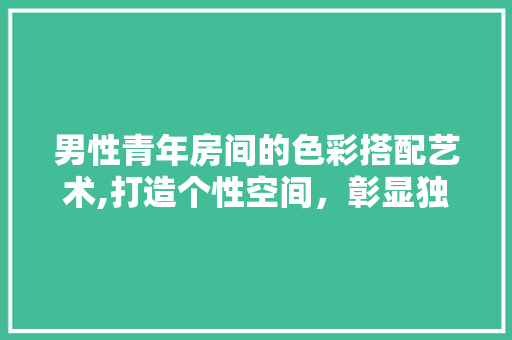 男性青年房间的色彩搭配艺术,打造个性空间，彰显独特品味