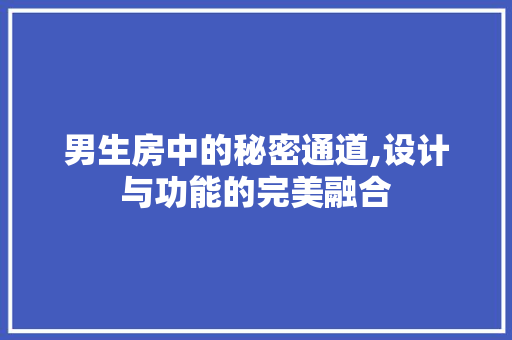男生房中的秘密通道,设计与功能的完美融合