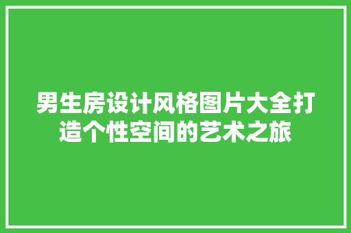 男生房设计风格图片大全打造个性空间的艺术之旅