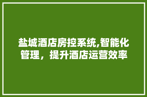 盐城酒店房控系统,智能化管理，提升酒店运营效率