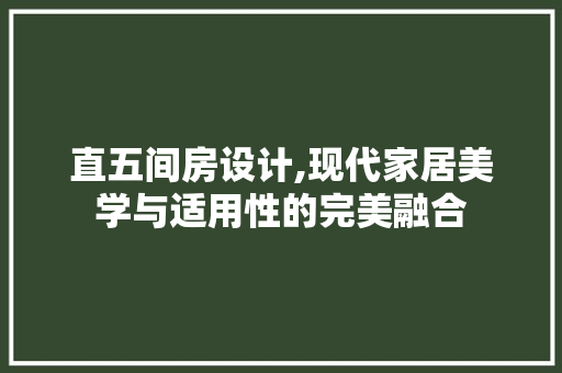 直五间房设计,现代家居美学与适用性的完美融合