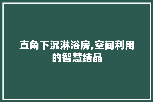 直角下沉淋浴房,空间利用的智慧结晶