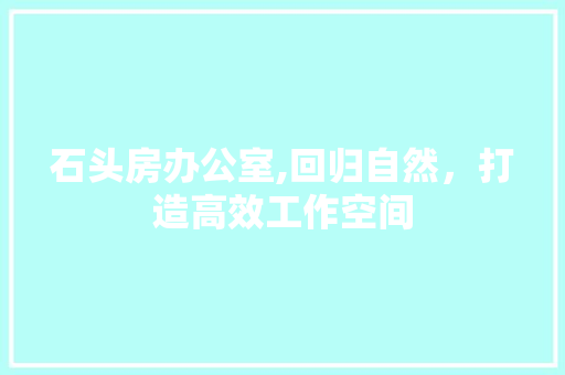 石头房办公室,回归自然，打造高效工作空间