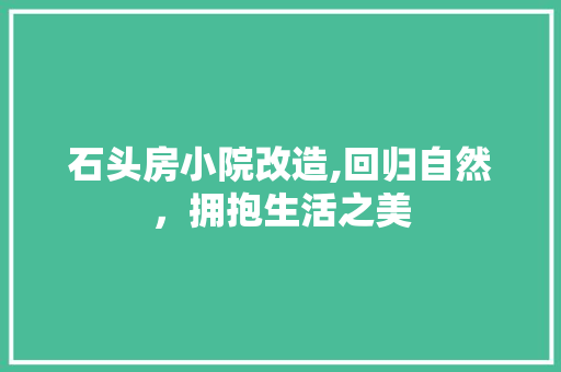 石头房小院改造,回归自然，拥抱生活之美
