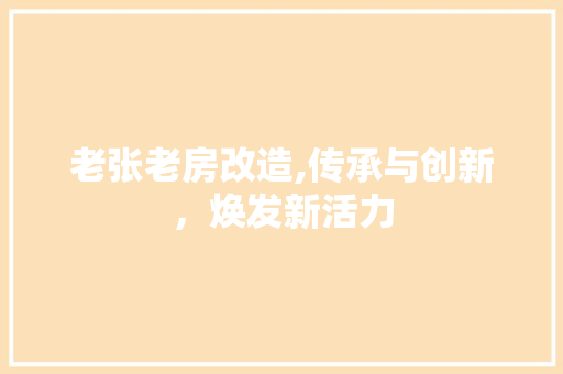 老张老房改造,传承与创新，焕发新活力