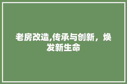 老房改造,传承与创新，焕发新生命