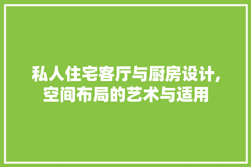 私人住宅客厅与厨房设计,空间布局的艺术与适用