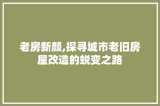 老房新颜,探寻城市老旧房屋改造的蜕变之路
