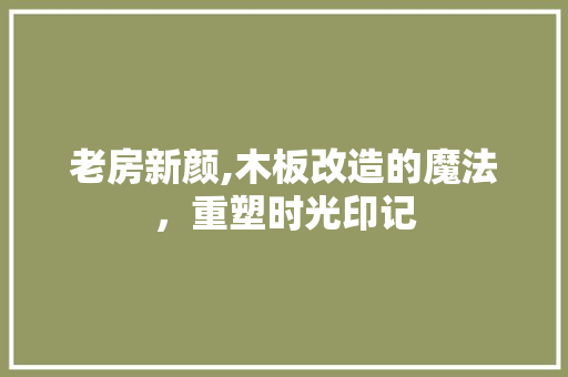 老房新颜,木板改造的魔法，重塑时光印记