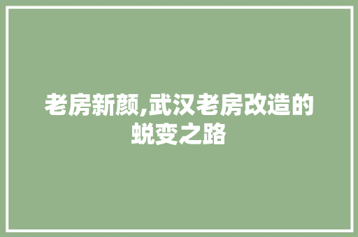 老房新颜,武汉老房改造的蜕变之路