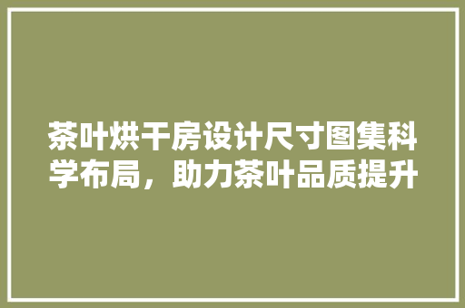 茶叶烘干房设计尺寸图集科学布局，助力茶叶品质提升