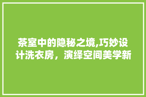 茶室中的隐秘之境,巧妙设计洗衣房，演绎空间美学新篇章