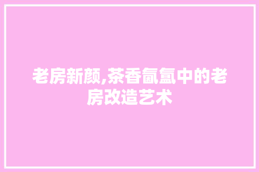老房新颜,茶香氤氲中的老房改造艺术