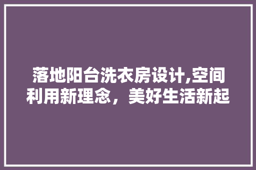 落地阳台洗衣房设计,空间利用新理念，美好生活新起点