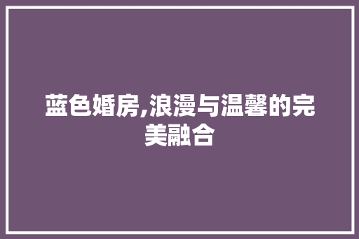 蓝色婚房,浪漫与温馨的完美融合