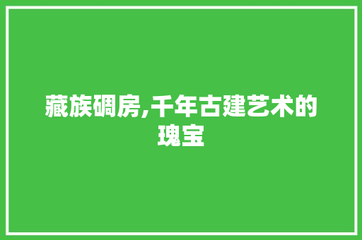 藏族碉房,千年古建艺术的瑰宝