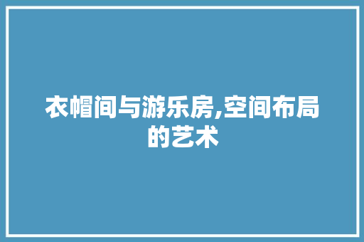 衣帽间与游乐房,空间布局的艺术