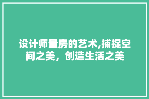 设计师量房的艺术,捕捉空间之美，创造生活之美