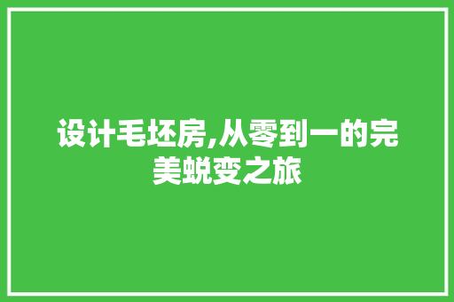 设计毛坯房,从零到一的完美蜕变之旅