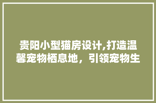 贵阳小型猫房设计,打造温馨宠物栖息地，引领宠物生活新潮流