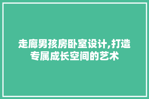 走廊男孩房卧室设计,打造专属成长空间的艺术