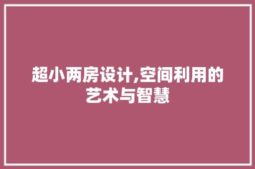 超小两房设计,空间利用的艺术与智慧