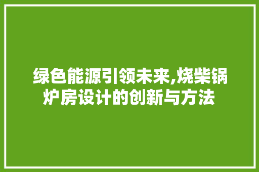 绿色能源引领未来,烧柴锅炉房设计的创新与方法