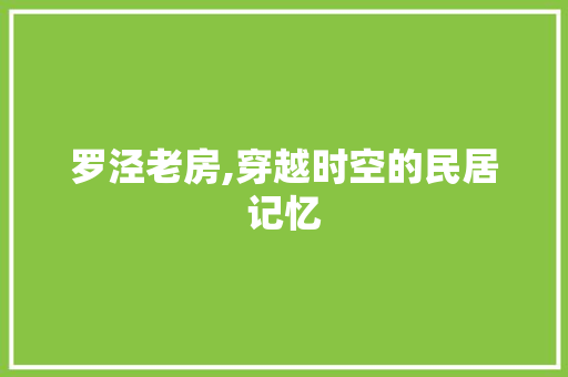 罗泾老房,穿越时空的民居记忆