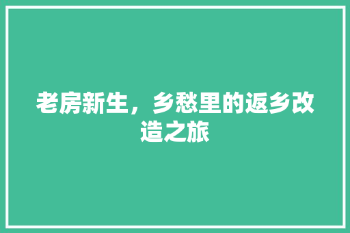 老房新生，乡愁里的返乡改造之旅