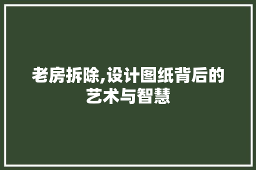 老房拆除,设计图纸背后的艺术与智慧