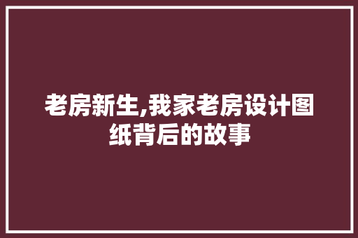 老房新生,我家老房设计图纸背后的故事