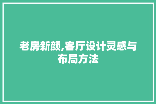 老房新颜,客厅设计灵感与布局方法